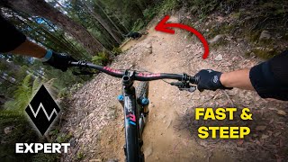King Brown | Steep & Chunky Berms at Maydena