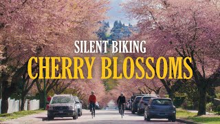 Silent Biking to Cherry Blossoms in Vancouver, BC