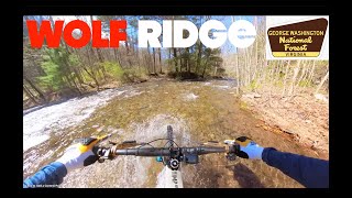 When Life Hands You Lemons, Go Ride Wolfs...