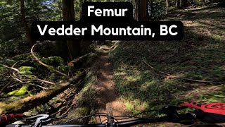 Femur, Vedder Mountain BC