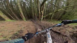 Glentress - B-Side