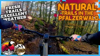 Fresh Cut PFÄLZERWALD Trails // Winter Tour...