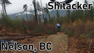 Shitacker - Nelson, BC