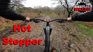 Hot Stepper - Bike Park Wales 2024