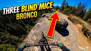 My favourite trail in the Mice