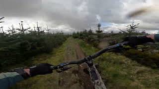 Glentress - Ho Chi Min