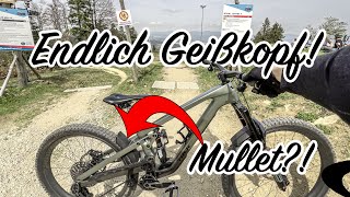 Der Unterschied ist krass! Geißkopf checken...