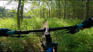Fresh Green | Mountain Biking South Walnut...