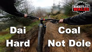 Dai Hard - Coal Not Dole - Bike Park Wales 2024