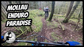Killer Enduro Loop near Mollau (Alsace, France)