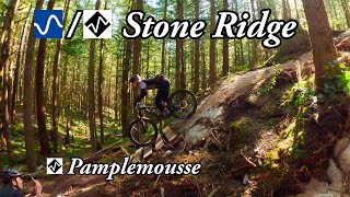 Excellent new MTB trail in Squamish, BC -...