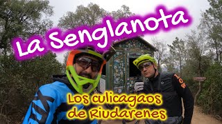 La Senglanota