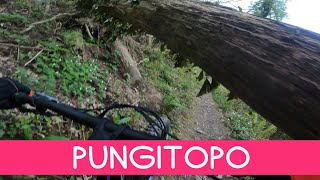 MTB 4 Venti 14.04.2024 sentiero PUNGITOPO