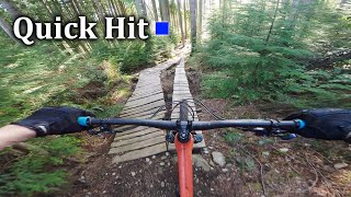 QuickHit - Woodlot | Maple Ridge BC