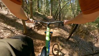 Hoot Trail (2024) / Nevada City, CA / MTB