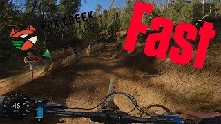 Fox Fast Race run 2024