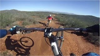 Mountain Biking Jumping Mouse Trail |...