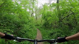 SIUE Mountain Bike Trails - Trail 3 (part 2 of 3)