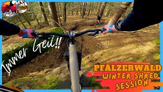 The PFÄLZERWALD delivers... Yet Again!! //...