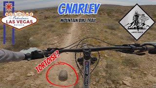 Gnarley