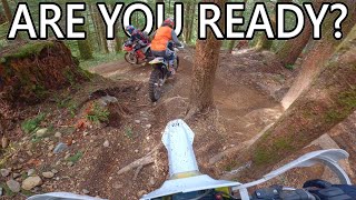 Preparing for The Cat Scratch Race?