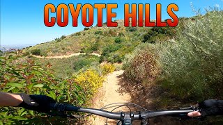 Coyote Hills Trail - Mountain Biking - Simi...