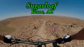 Sugarloaf Mountain - Ryan's Trail