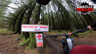 Vicious Valley - Bike Park Wales 2024