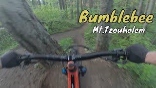 Bumbling Down Bumblebee