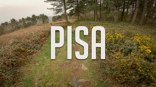 Pisa (Calci) - IntoTheWood, Zampirone, Secco |...