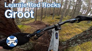 Learnie Red Rocks - Groot