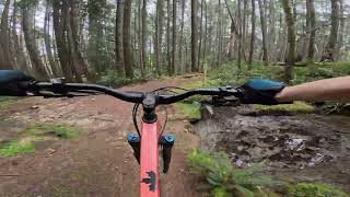 Yer Mom - Hornby Island
