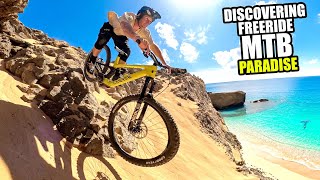 DISCOVERING A FREERIDE MOUNTAIN BIKING...