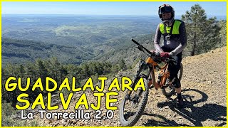 Volvemos a Guadalajara Salvaje ​ Torrecilla...