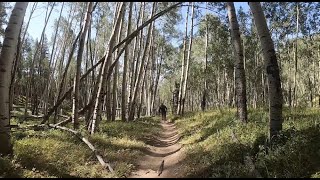 Epic ride down Dr. Park trail Crested Butte