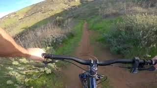 Sinister (Norco Ridge Ranch)