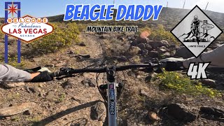 Beagle Daddy