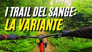 I Trail del San Genesio : LA VARIANTE
