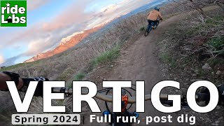 Vertigo 2024 spring (after dig)