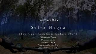 Trailforks #85 - Selva Negra (TC2 Copa Enduro...