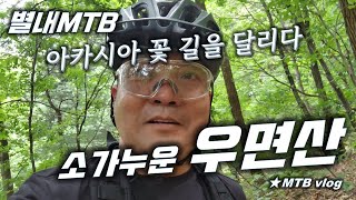 [별내MTB] 우면산  꽃길의...