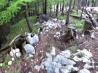 50 Grad Downhill Feuerkogel | LINES