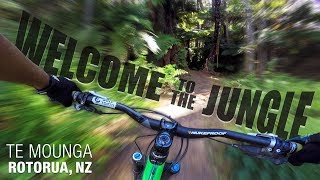 TE MOUNGA trail || Whakarewarewa Forest,...