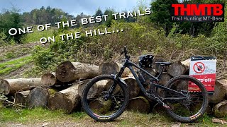 Haldon Forest Off Piste, Very Old Red Descent...