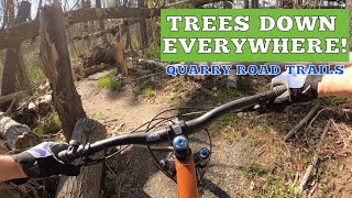 Storm Damaged Trails Recovering