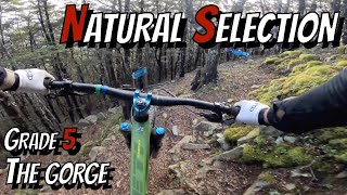 Is this the highest trail at the Gorge?...