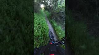 Having fun on my EMTB #specialized #levoturbo