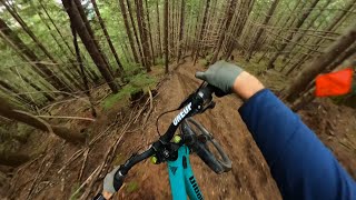 Shredding my Downhill Bike again!