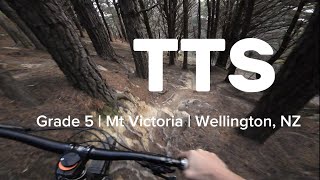 POV Trailview - TTS @ Mt Victoria - Grade 5...