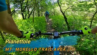 Pianettole, Mt. Morello (FI), 18-05-2024